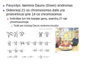 Chromosomų ir genų mutacijos 16 puslapis