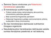 Chromosomų ir genų mutacijos 17 puslapis