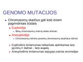 Chromosomų ir genų mutacijos 18 puslapis