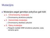 Chromosomų ir genų mutacijos 3 puslapis