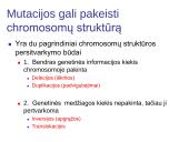 Chromosomų ir genų mutacijos 4 puslapis