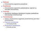 Chromosomų ir genų mutacijos 5 puslapis