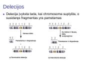 Chromosomų ir genų mutacijos 7 puslapis