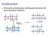 Chromosomų ir genų mutacijos 9 puslapis