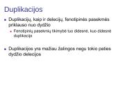 Chromosomų ir genų mutacijos 10 puslapis