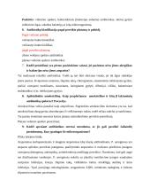 Konspektas apie antibiotikus 2 puslapis