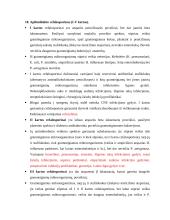 Konspektas apie antibiotikus 3 puslapis