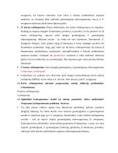 Konspektas apie antibiotikus 4 puslapis