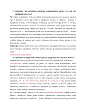 Konspektas apie antibiotikus 8 puslapis