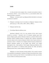 Obligacijų kursą įtakojantys veiksniai 2 puslapis