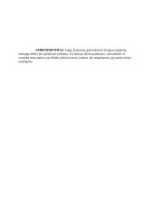 Kodėl ribinėse situacijose prarandamas žmogiškumas? Planas 3 puslapis