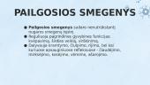 Galvos smegenų dalys 11 puslapis