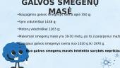 Galvos smegenų dalys 12 puslapis
