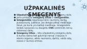 Galvos smegenų dalys 8 puslapis