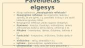 Koks yra mūsų elgesys: išmoktas ar paveldėtas? 4 puslapis