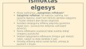 Koks yra mūsų elgesys: išmoktas ar paveldėtas? 5 puslapis