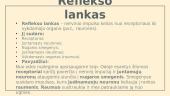 Koks yra mūsų elgesys: išmoktas ar paveldėtas? 6 puslapis
