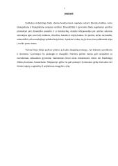 Nyderlandų Karalystė 2 puslapis