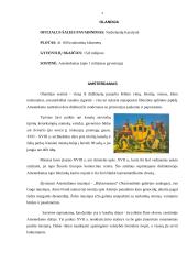 Nyderlandų Karalystė 4 puslapis