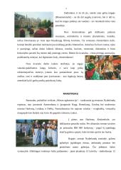 Nyderlandų Karalystė 5 puslapis