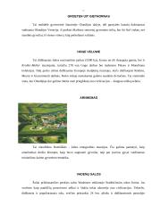 Nyderlandų Karalystė 7 puslapis