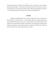 Nyderlandų Karalystė 8 puslapis