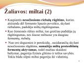 Duona. Kepinių reglamentas 11 puslapis
