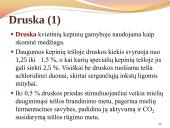 Duona. Kepinių reglamentas 14 puslapis