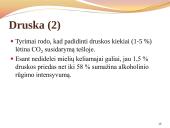 Duona. Kepinių reglamentas 15 puslapis