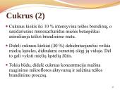 Duona. Kepinių reglamentas 17 puslapis