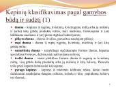 Duona. Kepinių reglamentas 4 puslapis