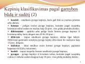 Duona. Kepinių reglamentas 5 puslapis
