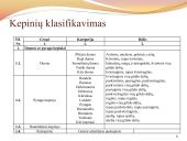 Duona. Kepinių reglamentas 9 puslapis