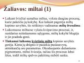 Duona. Kepinių reglamentas 10 puslapis