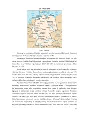 Olandijos faktai 15 puslapis