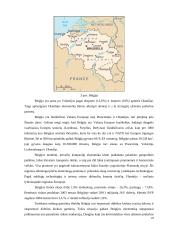 Olandijos faktai 17 puslapis