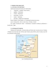 Olandijos faktai 3 puslapis