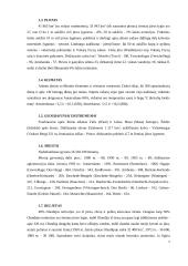 Olandijos faktai 4 puslapis