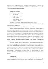 Olandijos faktai 5 puslapis