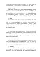 Olandijos faktai 6 puslapis