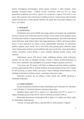 Olandijos faktai 7 puslapis