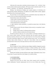 Olandijos faktai 9 puslapis