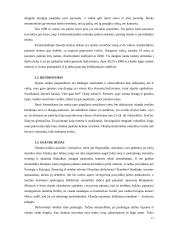 Olandijos faktai 10 puslapis