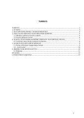 Oligopolinės rinkos 2 puslapis