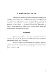 Oligopolinės rinkos 11 puslapis