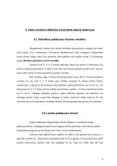 Oligopolinės rinkos 6 puslapis