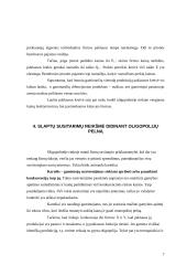 Oligopolinės rinkos 7 puslapis