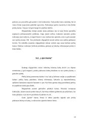 Oligopolinės rinkos 10 puslapis