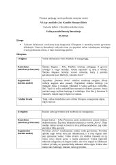 Vaiko pasaulis lietuvių literatūroje. Planas