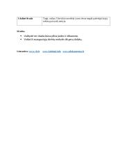 Vaiko pasaulis lietuvių literatūroje. Planas 2 puslapis